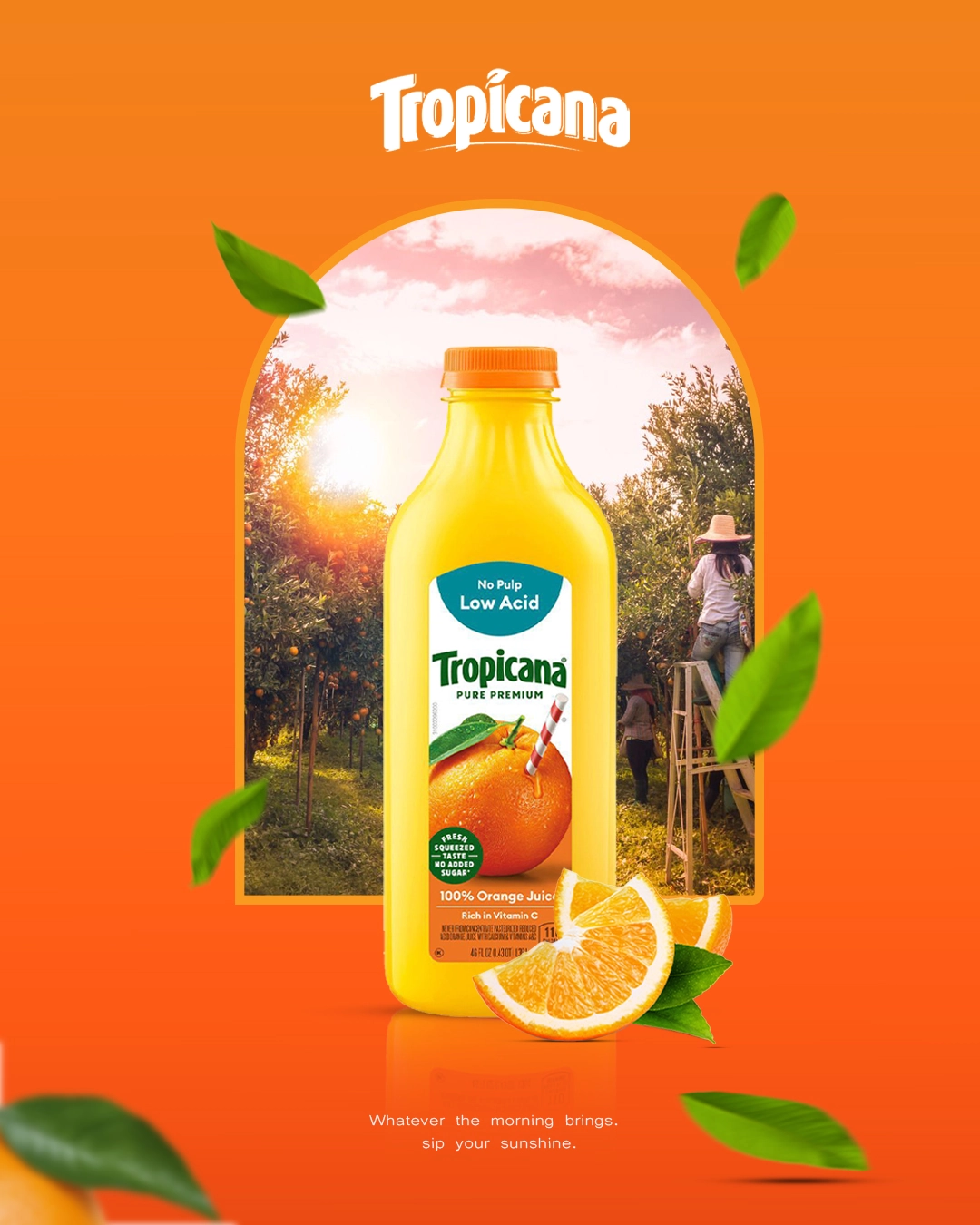 Digital Marketing Expert in Kochi | Kerala​